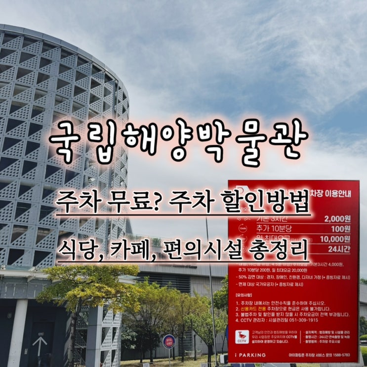  국립해양박물관(3) 주차·식당·카페 총정리 (아이랑 가기 전 꼭 보세요)