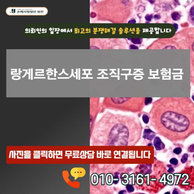  랑게르한스세포 조직구증 보험금, 20% 지급 통보? 전액 100% 뒤집는 핵심 기준