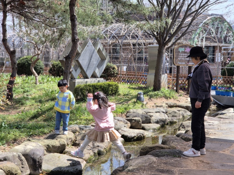 꽃빛 사진 5
