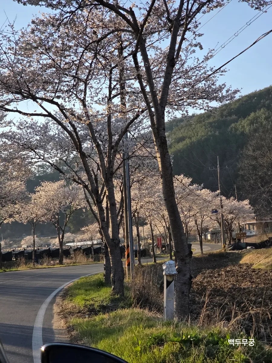 동마루카페 사진 2