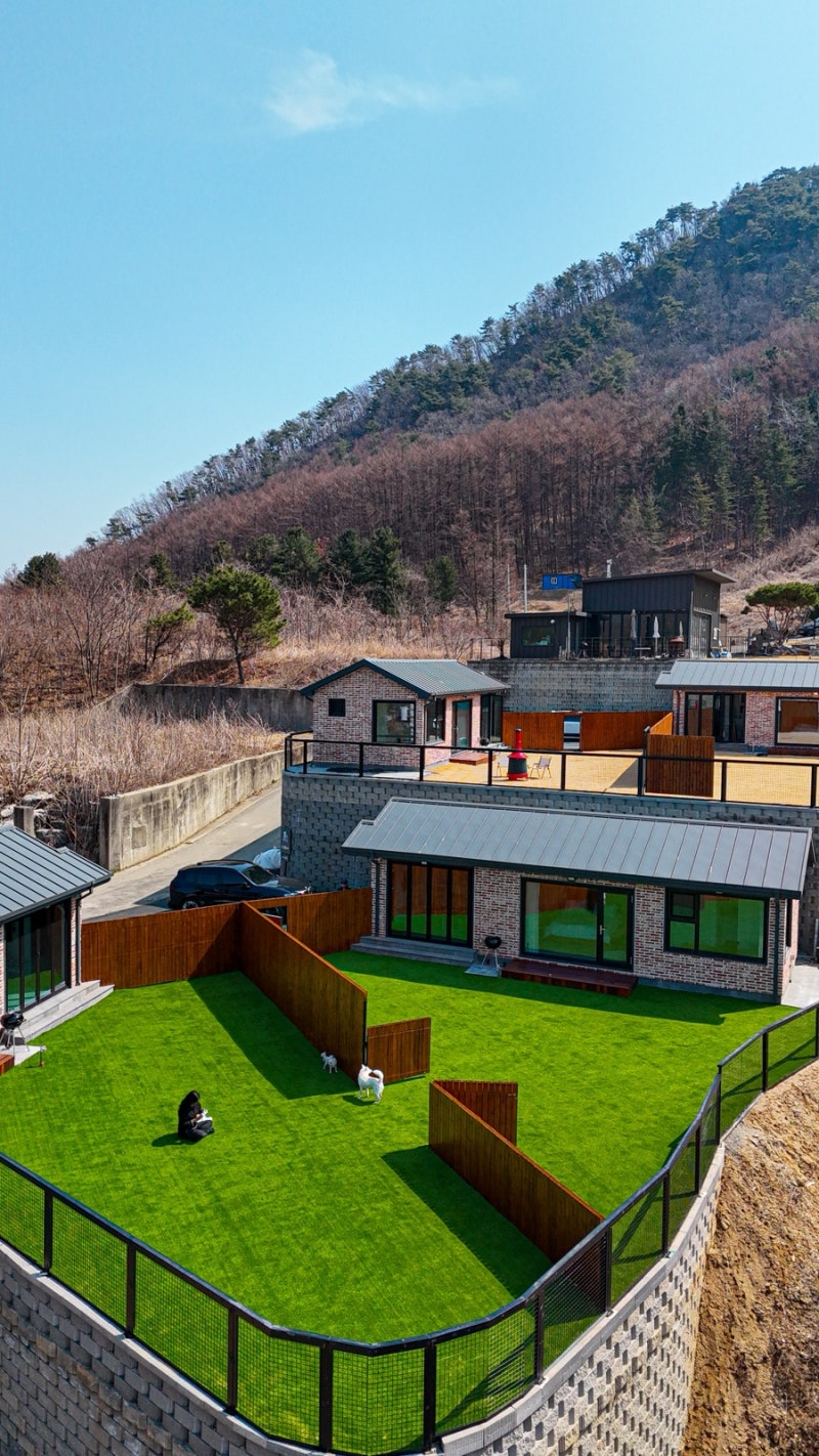 사진 8