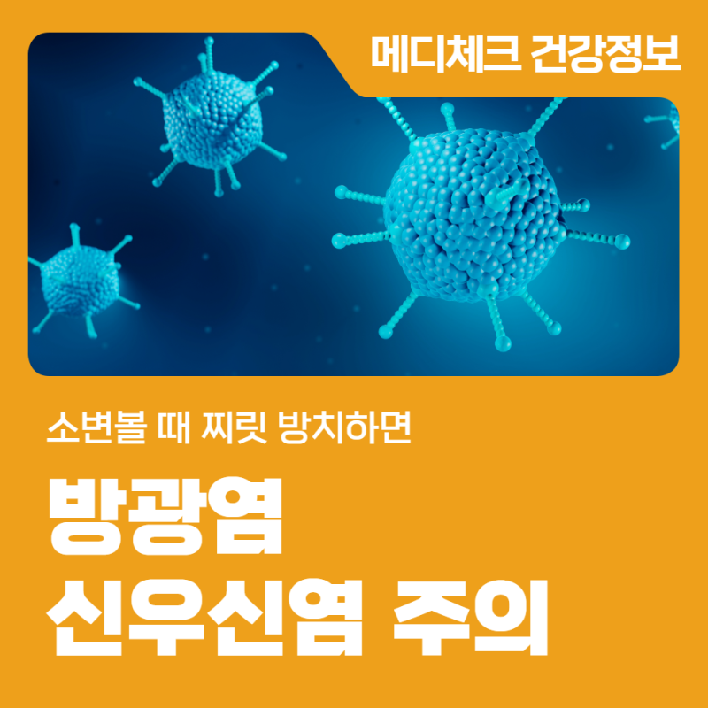 방광염 소변볼 때 찌릿 방치하면 신우신염 주의