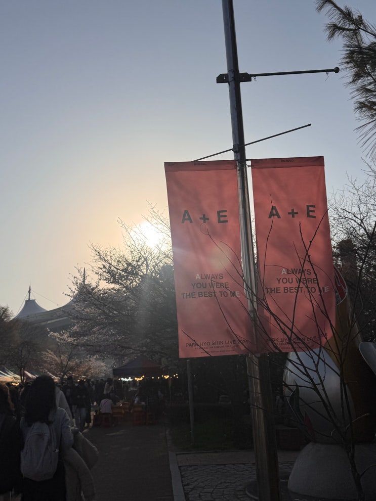  20260405 A&E 박효신 콘서트 후기 셋리스트 콘서트 온전히 즐기기 떼창 정보