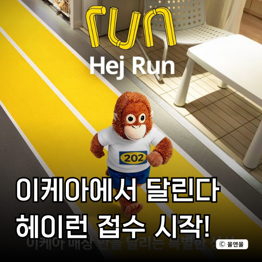  이케아 헤이런 접수 방법 러닝 신청 일정 (링크O)