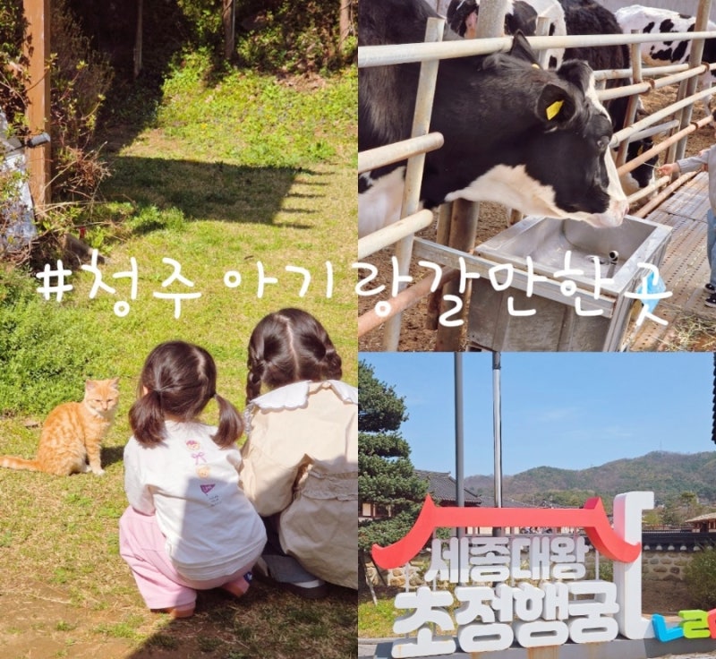 청주 아이와 가볼만한곳 아기랑갈만한곳 초정행궁 다래목장