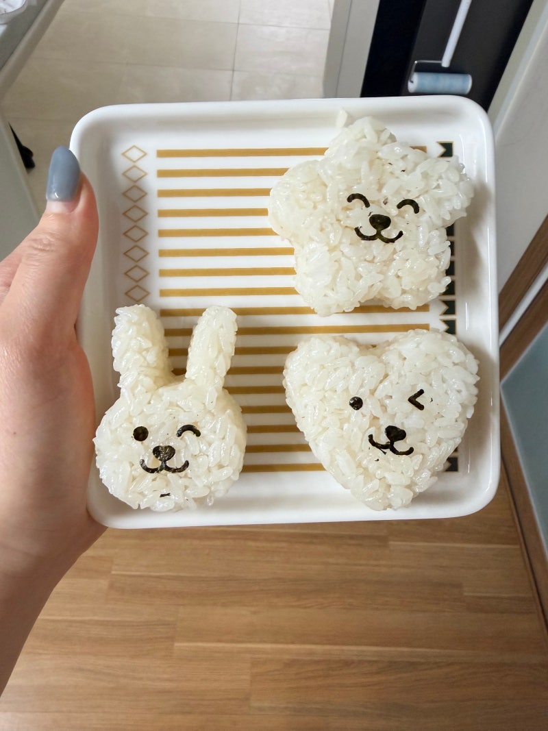 쿡차 주먹밥 틀로 아이랑 동물 주먹밥 만들기