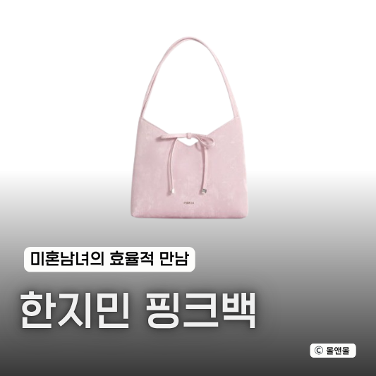  미혼남녀의효율적만남 12회 한지민 핑크 리본 가방 데일리백 추천