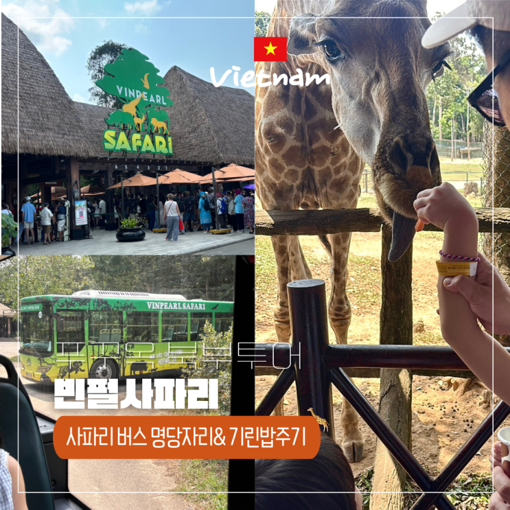  푸꾸옥 빈펄 사파리, 덜 고생하고 제대로 즐기는 동선 (feat. 버스 명당자리& 기린밥주기)