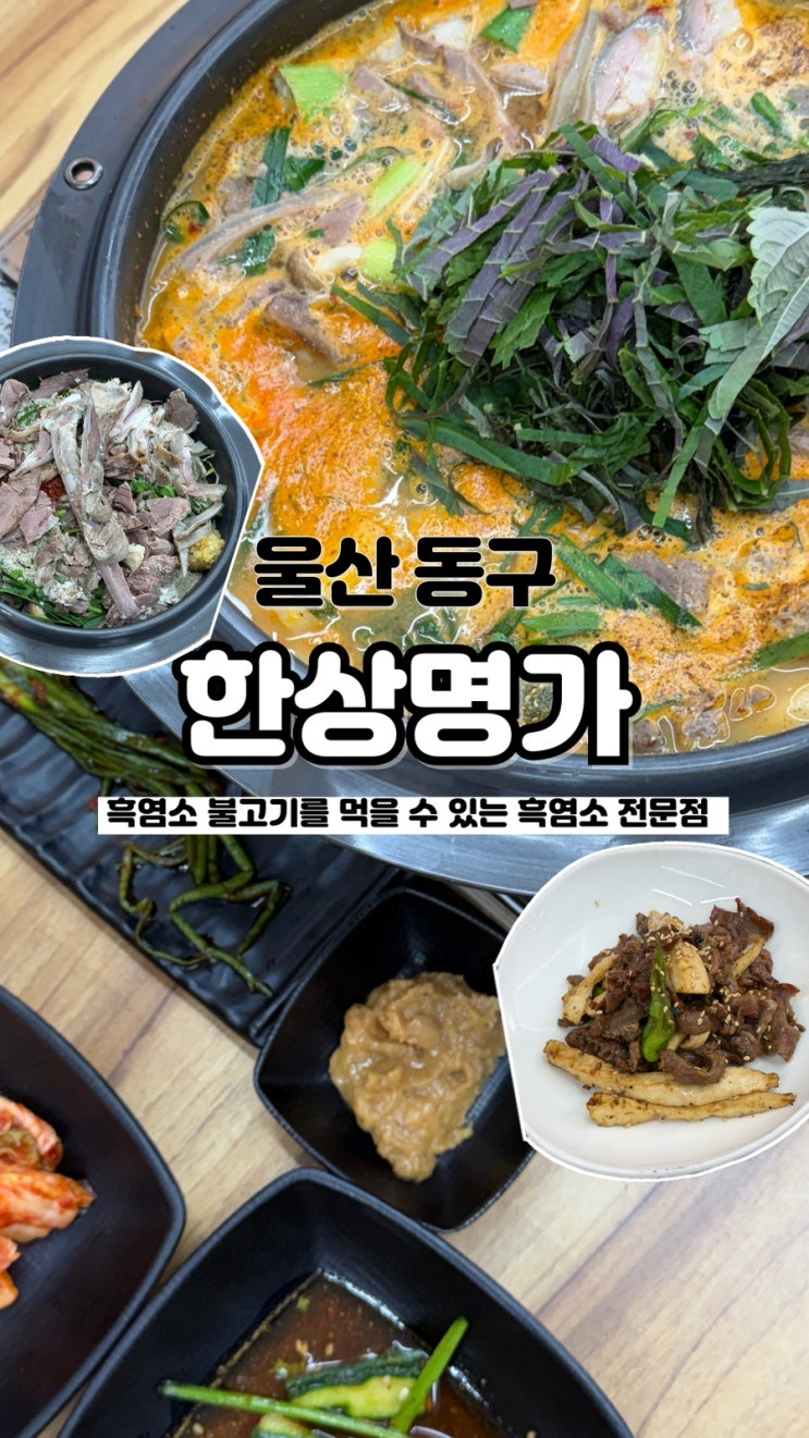  흑염소 불고기를 먹을 수 있는 신상맛집 흑염소 전문점 울산보양식 한상명가