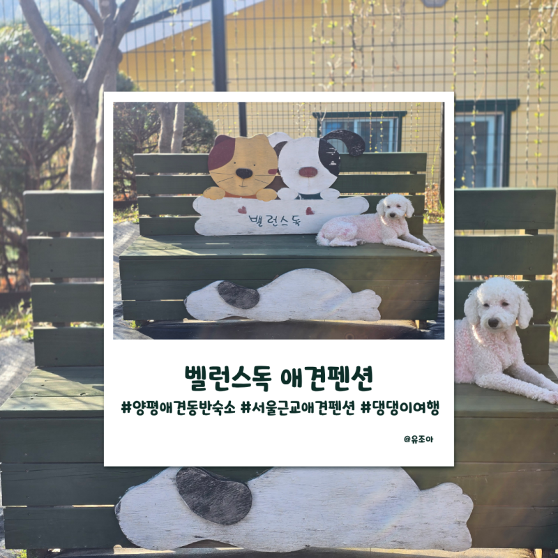 사진 5