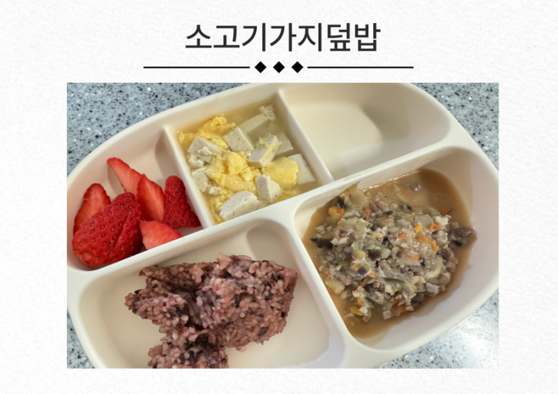 아기 유아식 메뉴 소고기가지덮밥 만들기! 무염 유아식 메뉴