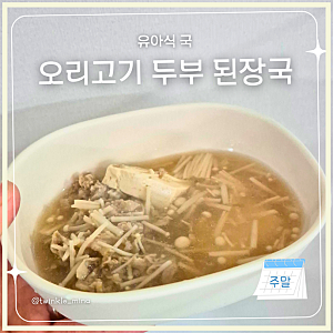 아기 된장국 두부 오리고기 유아국 돌아기국 만들기