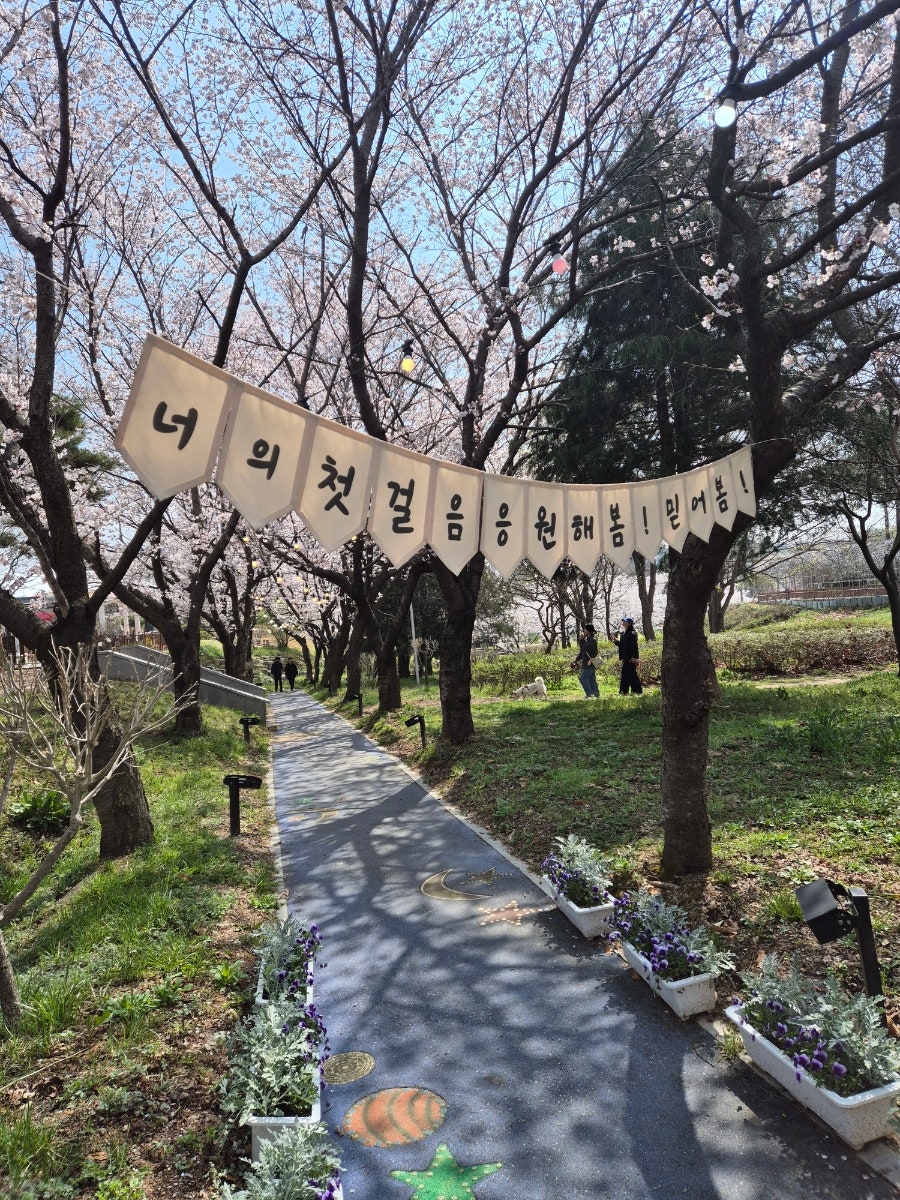 꽃빛 사진 1