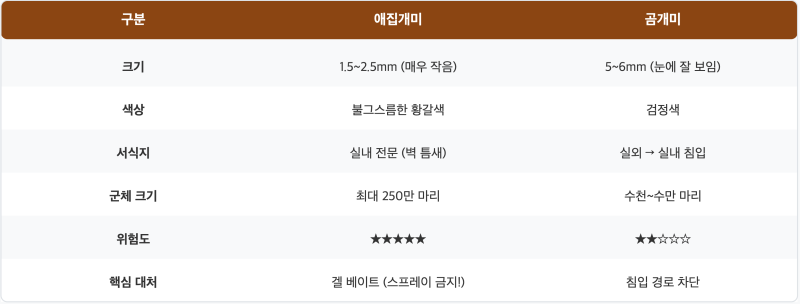 4월 매장에 개미 줄이 생겼다면 — 애집개미 vs 곰개미, 퇴치법이 다릅니다