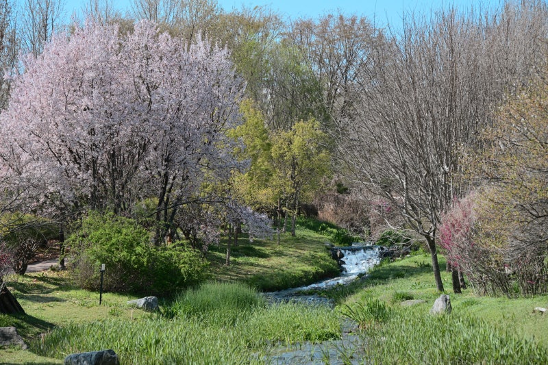 사진 6