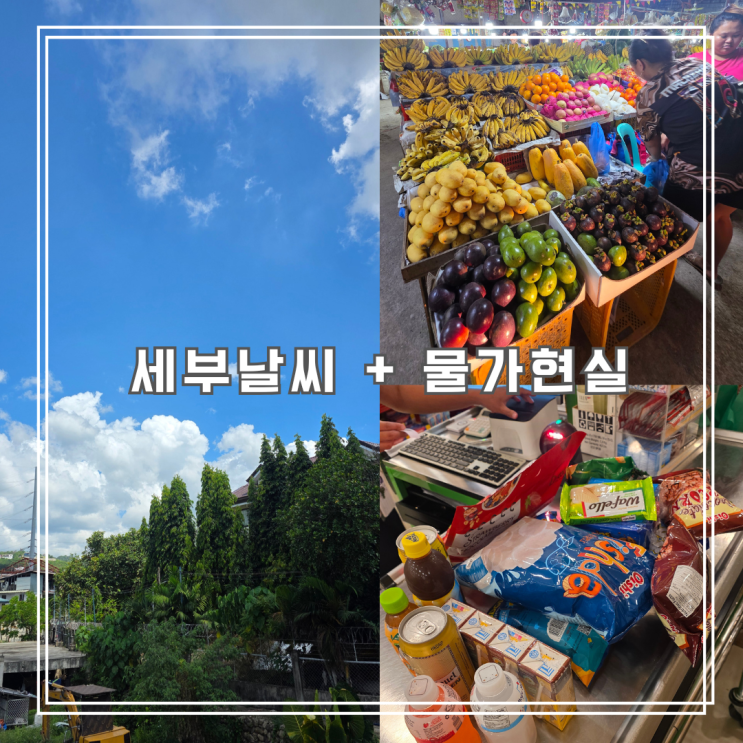  세부 한달살기 오기 전 꼭 보세요 (4월 세부 날씨 + 필리핀 물가 현실 후기)