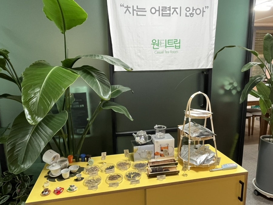 원티트립 사진 6