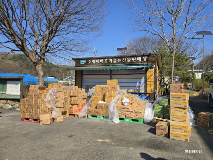  연천군 왕징면 동중리 호랑이배꼽마을 농자재 공동구매