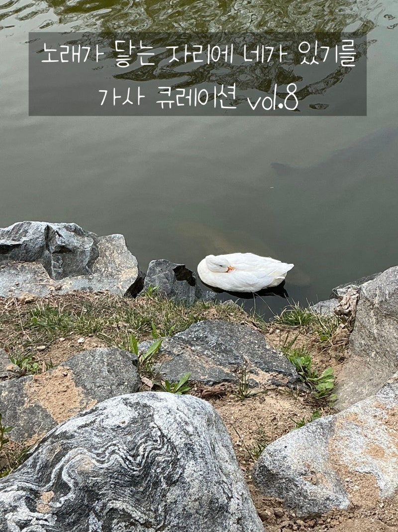 감성 노래 추천: 도영 안녕 우주·새봄의 노래, 정승환, 이승윤 노래 가사 모음