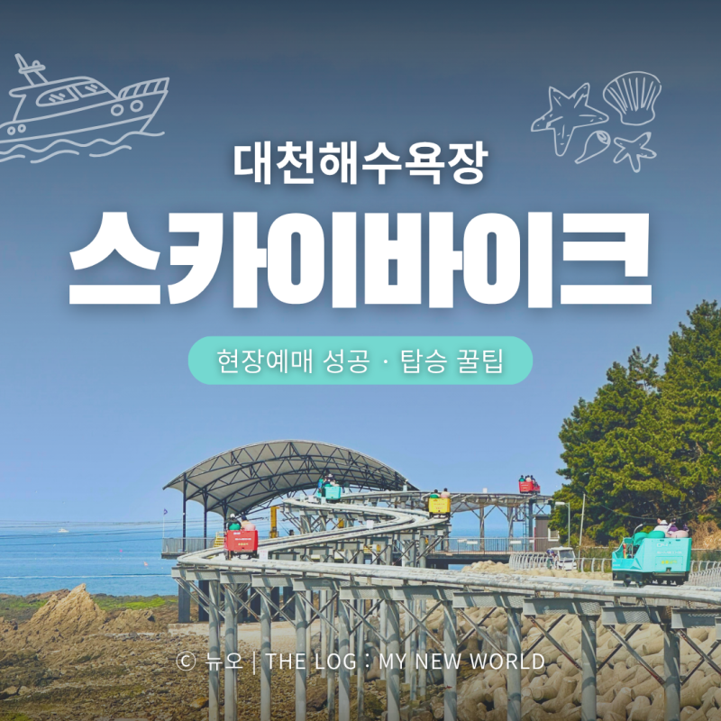 [충남 보령] 대천해수욕장 스카이바이크 후기｜현장예매 오픈런 & 탑승 꿀팁 총정리