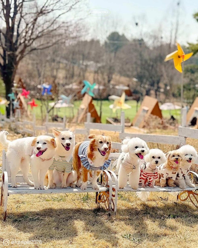 사진 2