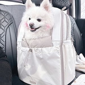 강아지 백팩 리카리카 티코어 이동가방 애견 카시트 6kg 후기