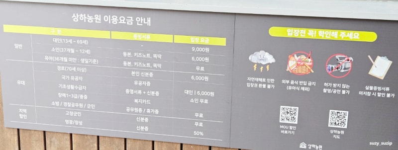 사진 3