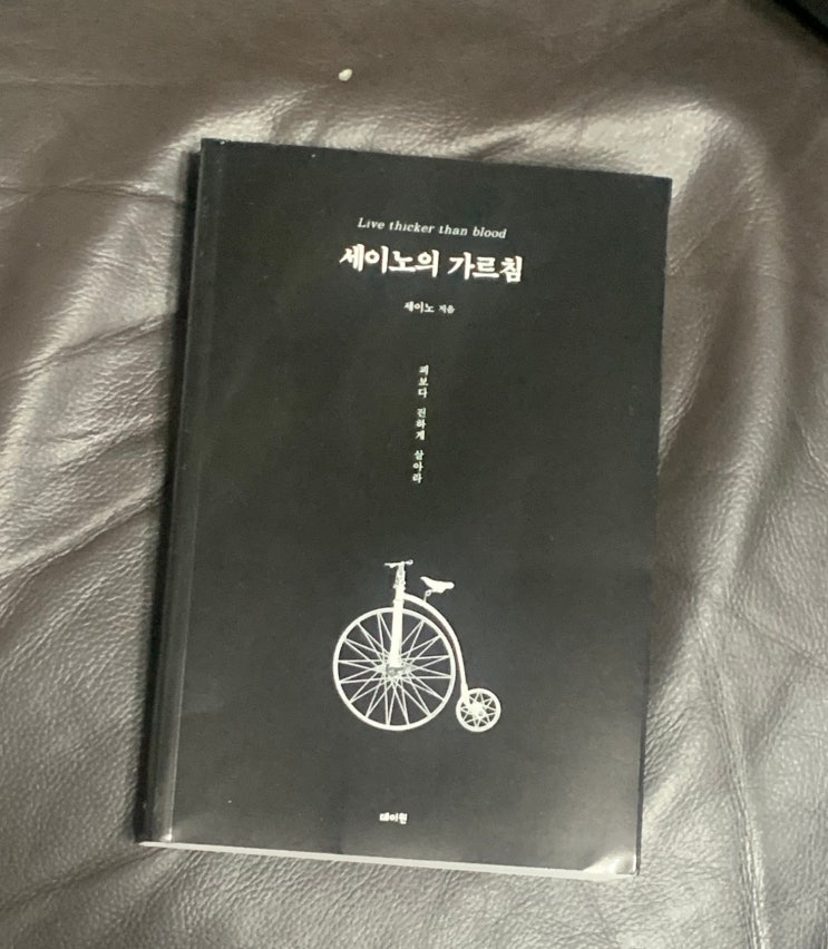  세이노의 가르침 책 저자가 e북 pdf 오디오북 무료 제공하는 추천 자기계발서