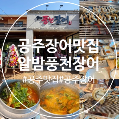 공주장어맛집 알밤풍천장어 방문 : )