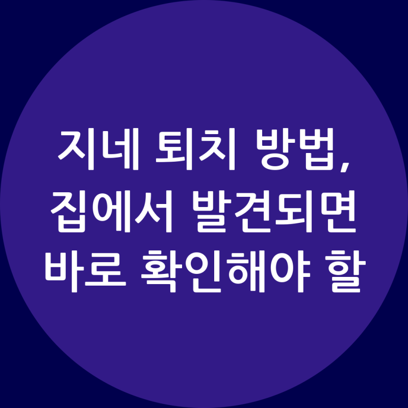 지네 퇴치 방법, 집에서 발견되면 바로 확인해야 할 것
