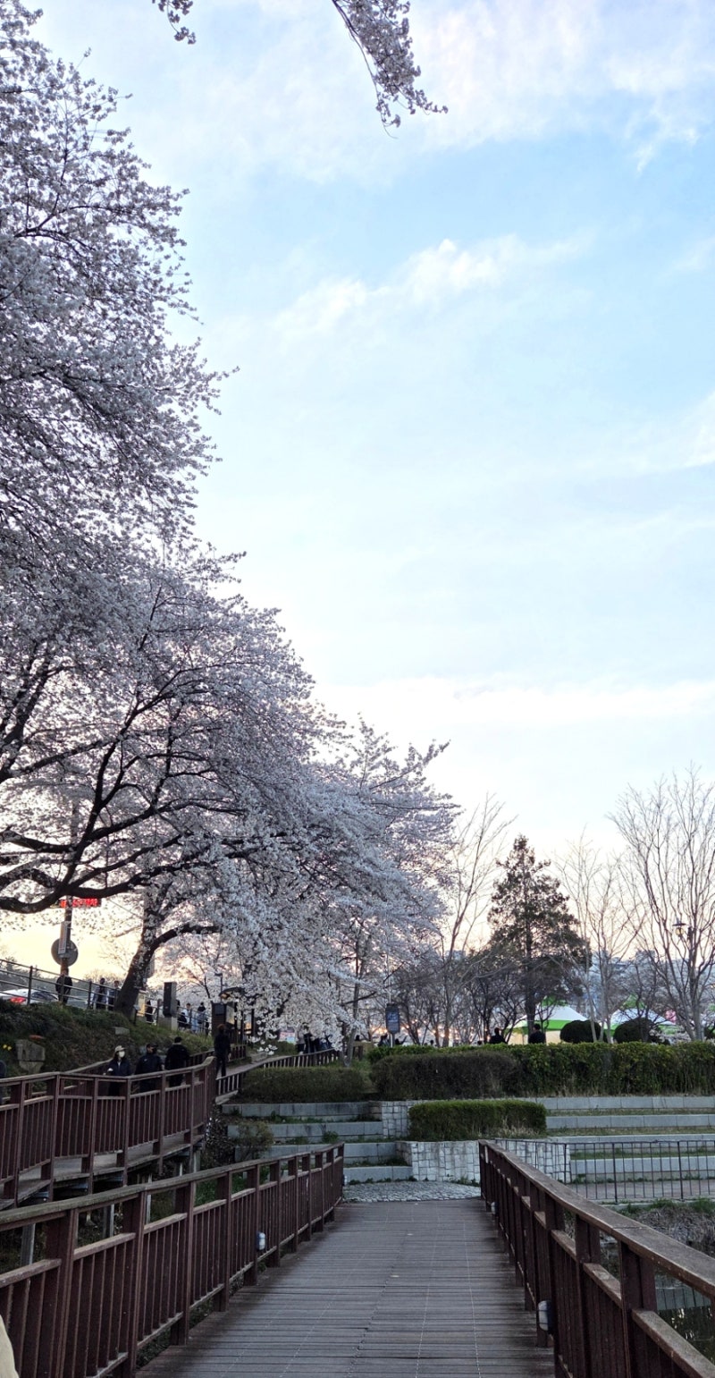 사진 4