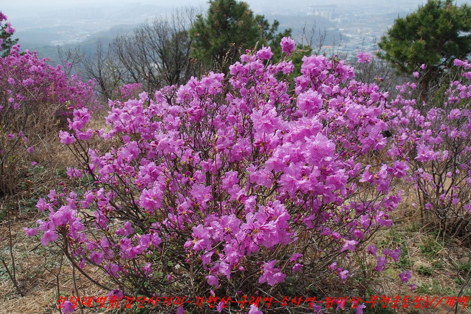 소사주막 사진 6