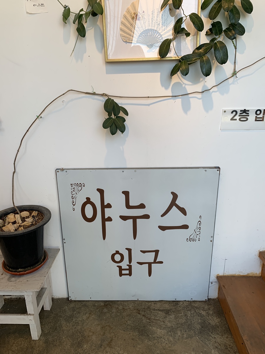 야누스 사진 6