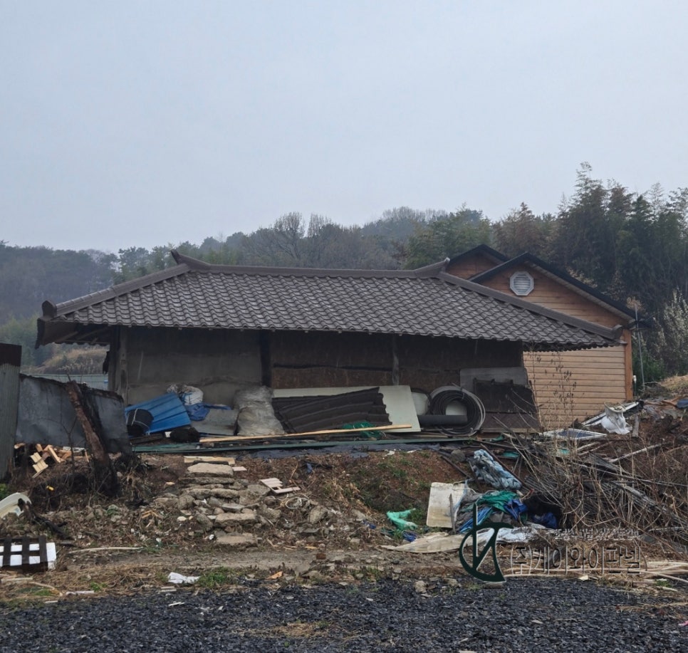 소골 사진 5