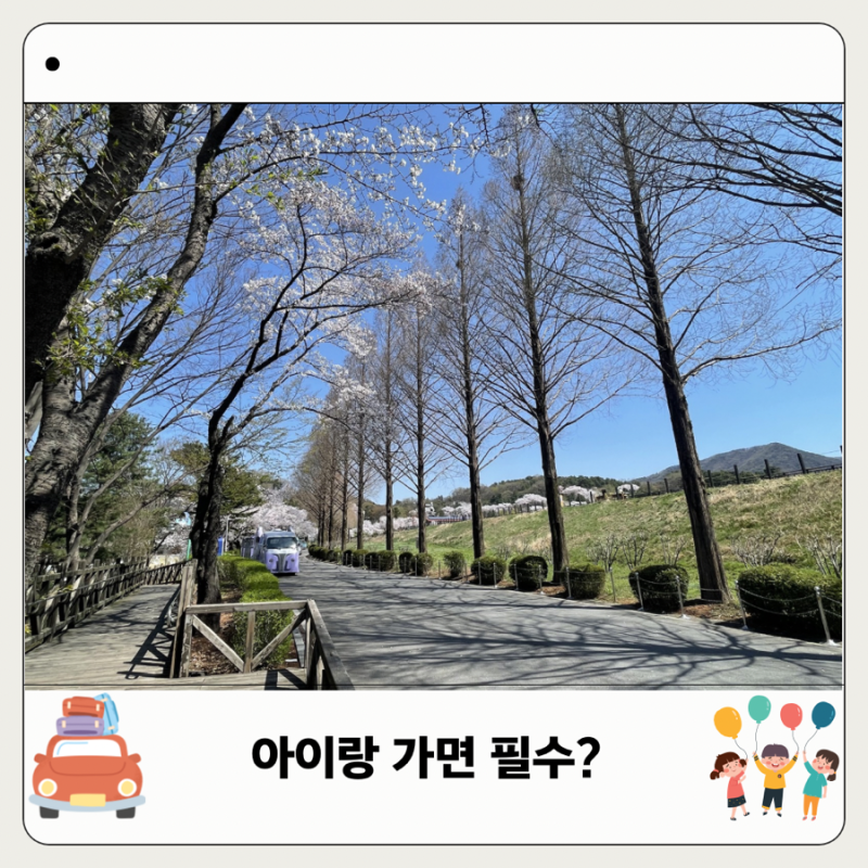 서울대공원 코끼리열차 아이랑 꼭 타야 할까? 운행시간 가격 예매 총정리