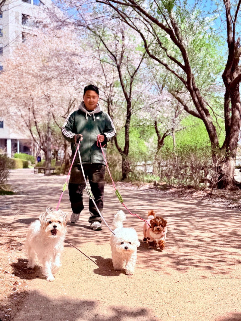 사진 10
