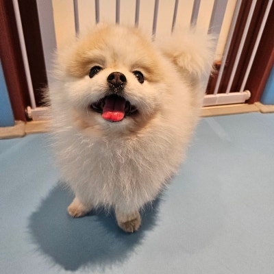 사진 9