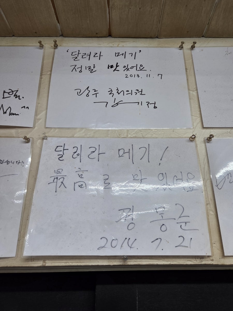달려라메기 사진 3