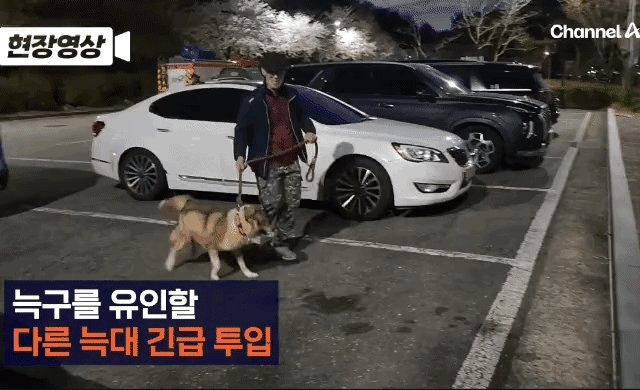 사진 6