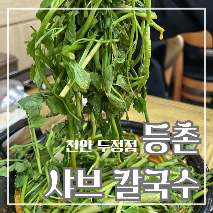  천안 두정동 샤브샤브 맛집으로 소문난 등촌샤브칼국수 두정점 솔직후기