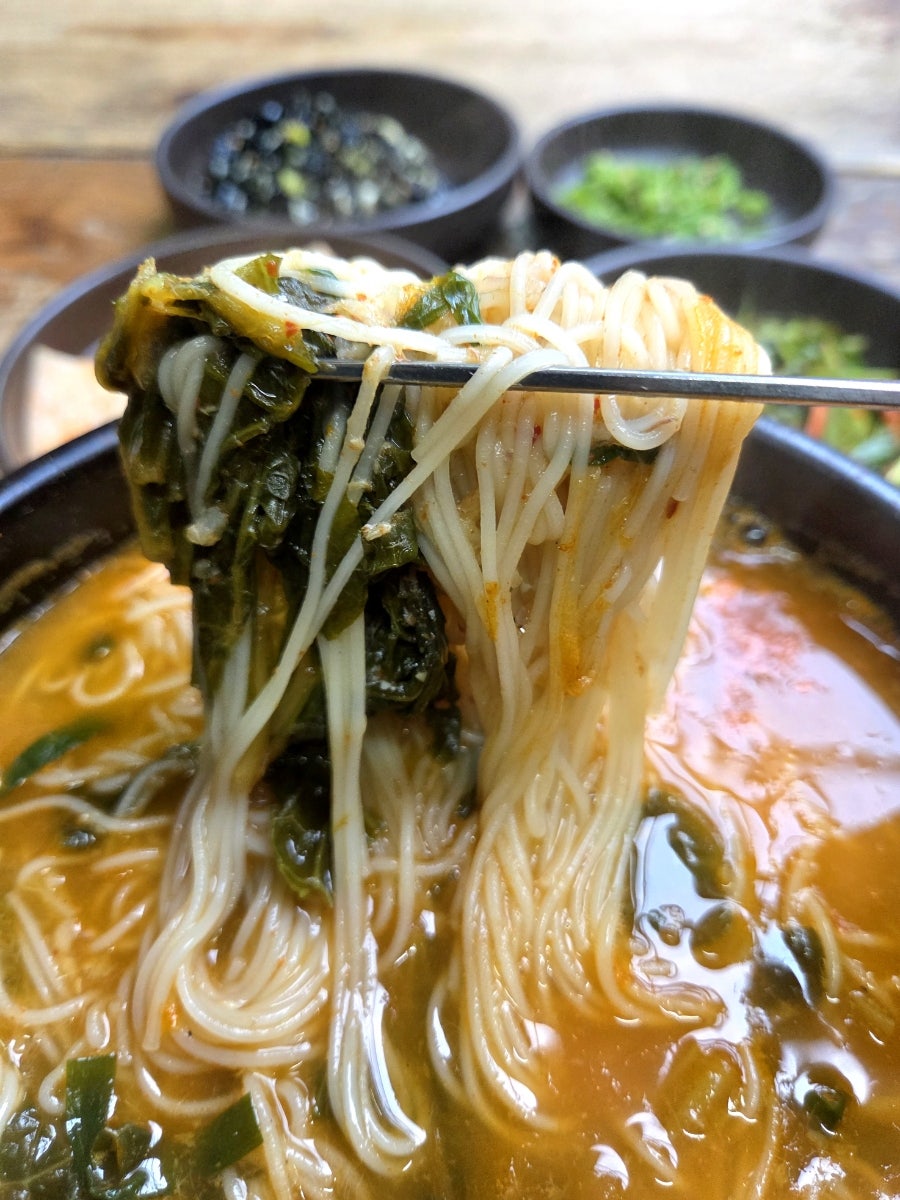 달려라메기 사진 2