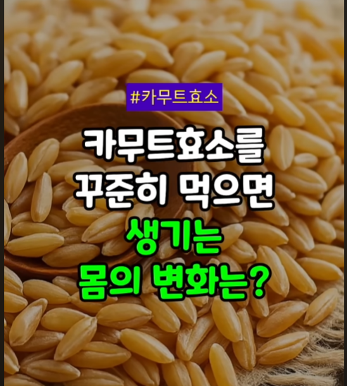 카무트 효소 효능 부작용 다이어트 칼로리 완전 정리 — 왕의 곡물로 만든 미숫가루 제대로 ....