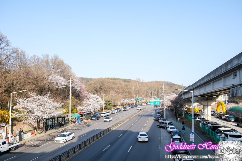 사진 5