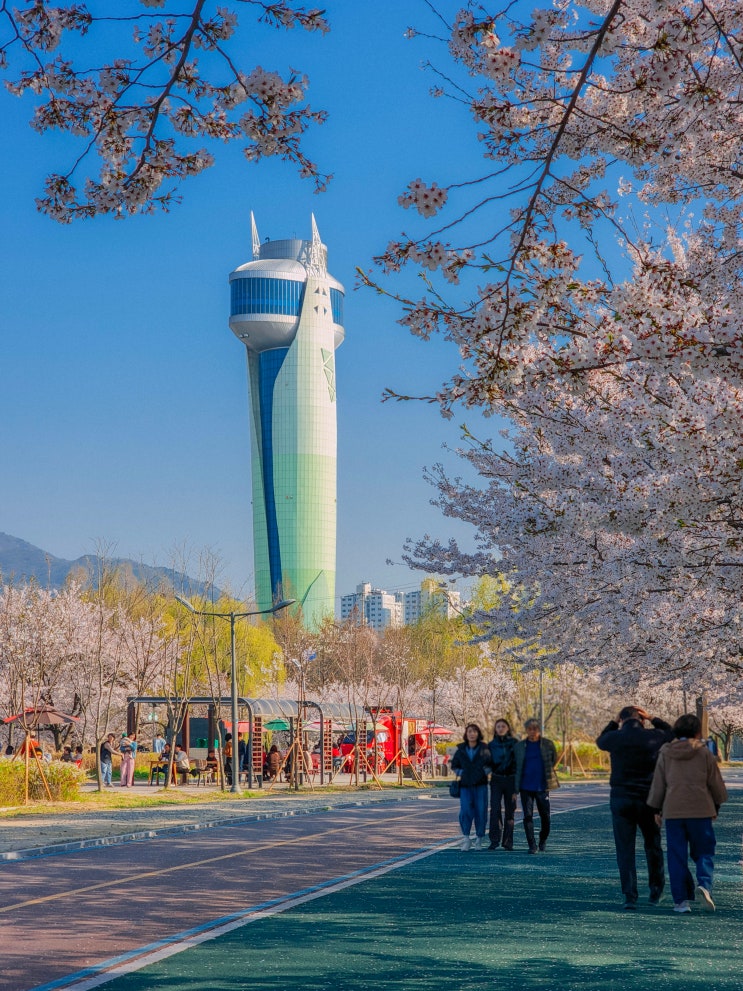  하남 벚꽃 명소, 당정뜰과 덕풍천(미사경정공원 주차장)