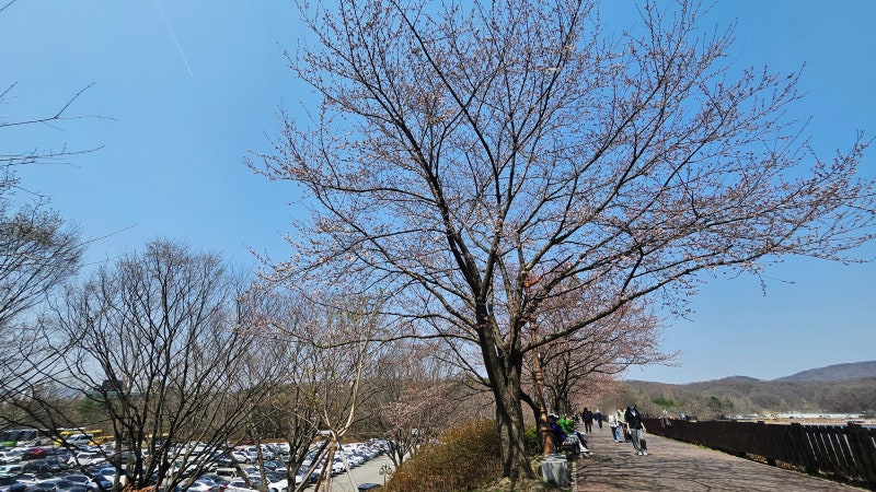 사진 8