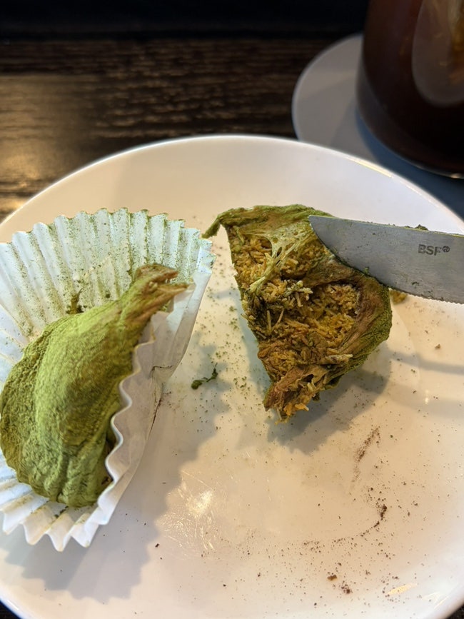 카페뮤렌 사진 3