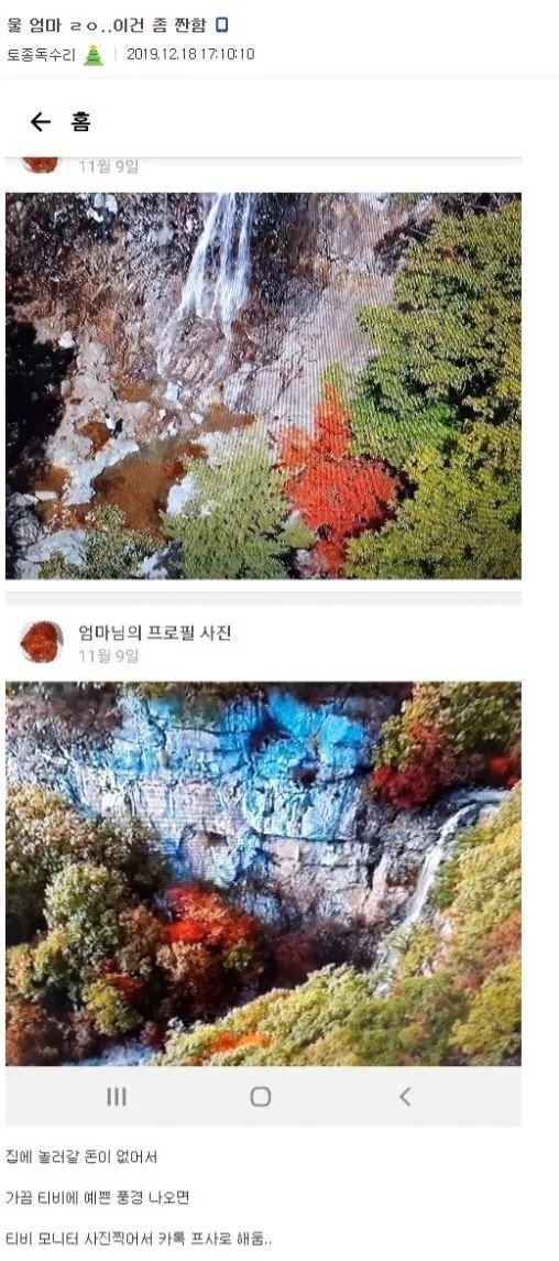  엄마의 짠한 카톡 프사.jpg