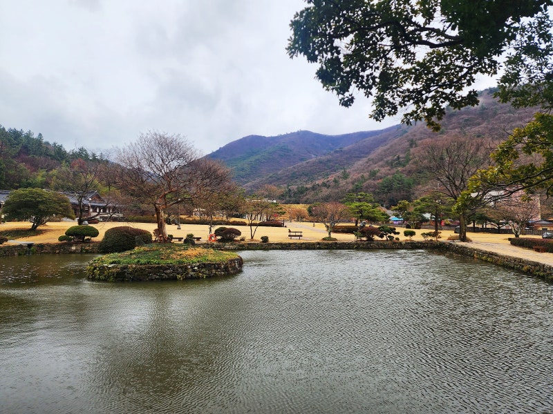 사진 3