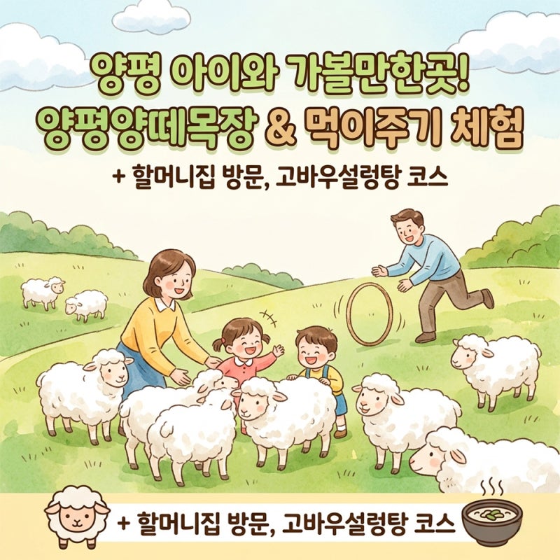 양평 아이와 가볼만한곳 양평양떼목장 먹이주기 체험부터 고바우설렁탕 맛집 코스까지!