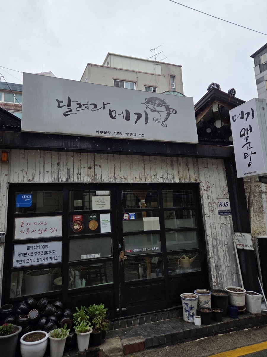 달려라메기 사진 4